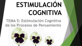 TEMA 5: Estimulación Cognitiva de los Procesos de Pensamiento