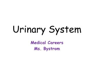 Urinary System