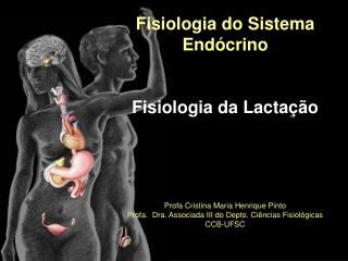 Fisiologia do Sistema Endócrino Fisiologia da Lactação Profa Cristina Maria Henrique Pinto