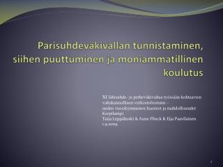 Parisuhdeväkivallan tunnistaminen, siihen puuttuminen ja moniammatillinen koulutus