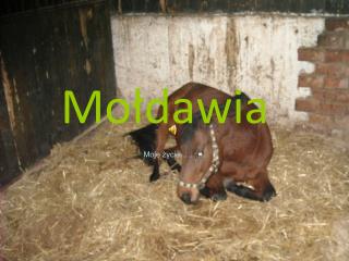 Mołdawia