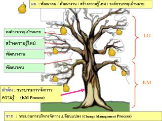 พัฒนาคน
