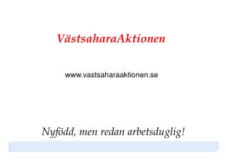 VästsaharaAktionen