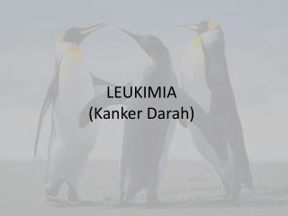 LEUKIMIA ( Kanker Darah )