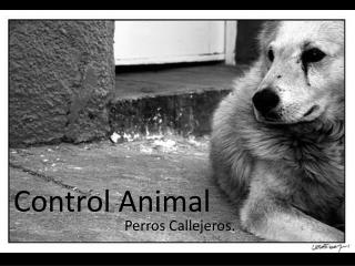 Control Animal