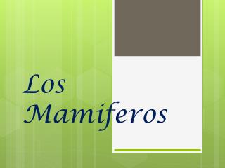 Los Mamiferos