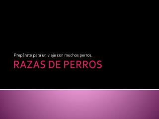 RAZAS DE PERROS