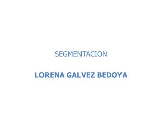 SEGMENTACION LORENA GALVEZ BEDOYA