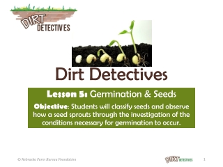 Dirt Detectives