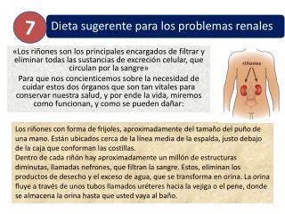 ¿Cómo cuidar tus riñones?