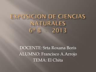 EXPOSICION DE CIENCIAS NATURALES 6º B - 2013