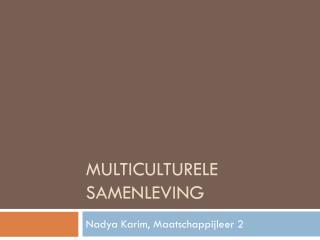 Multiculturele samenleving