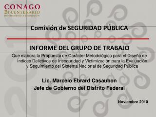 Comisión de SEGURIDAD PÚBLICA INFORME DEL GRUPO DE TRABAJO