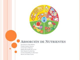 Absorción de Nutrientes