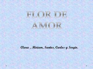 FLOR DE AMOR