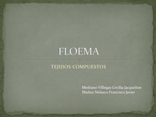 FLOEMA