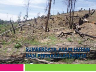 SUMBERDAYA ALAM HUTAN DAN PERMASALAHANNYA