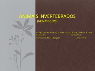 Animais Invertebrados (Nematódeos)