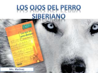 Los ojos del perro siberiano
