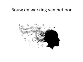 Bouw en werking van het oor