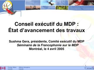 Conseil exécutif du MDP : État d’avancement des travaux