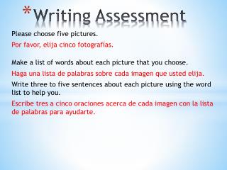 Writing Assessment