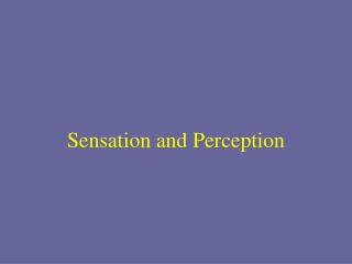 Sensation and Perception