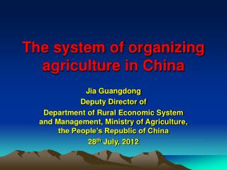 The system of organizing agriculture in China