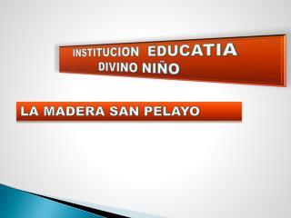 INSTITUCION EDUCATIA DIVINO NIÑO