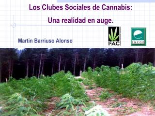 Los Clubes Sociales de Cannabis: Una realidad en auge.