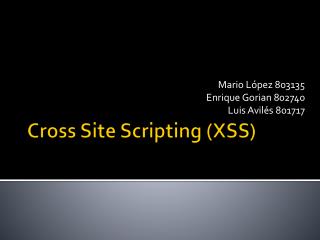 Cross Site Scripting (XSS)