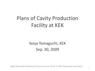 Plans of Cavity Production Facility at KEK