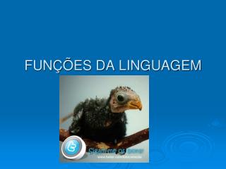 FUNÇÕES DA LINGUAGEM