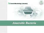 Anaerobic Bacteria