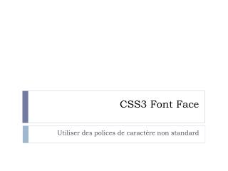 CSS3 Font Face