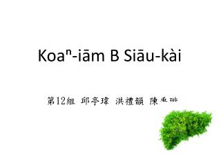 Koaⁿ-iām B Siāu-kài