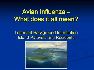 Avian Influenza – What does it all mean?