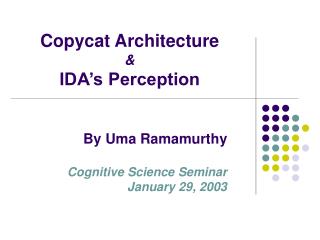 Copycat Architecture &amp; IDA’s Perception