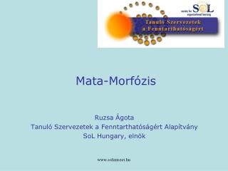 Mata-Morfózis