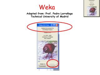 Weka