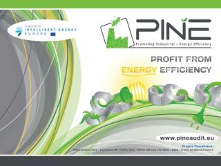 ● Despre proiect Scopul principal al proiectului PINE este influientarea cresterii eficientei