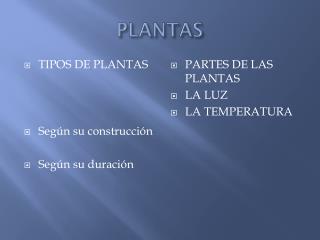 PLANTAS