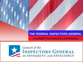 THE FEDERAL INSPECTORS GENERAL
