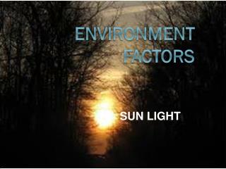 ENVIRONMENT FACTORS