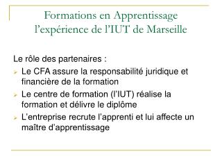 Formations en Apprentissage l’expérience de l’IUT de Marseille