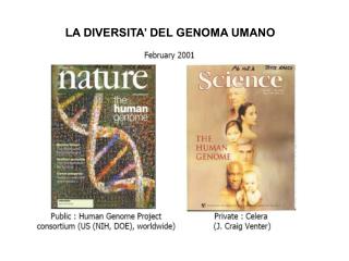 LA DIVERSITA’ DEL GENOMA UMANO
