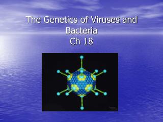 The Genetics of Viruses and Bacteria Ch 18