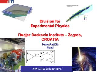 Division for Ex perimental Physics Rudjer Boskovic Institute – Zagreb, CROATIA
