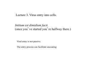 Initium est dimidium facti. (once you ’ ve started you ’ re halfway there.)