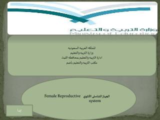 الجهاز التنا سلى الأنثوي Female Reproductive system